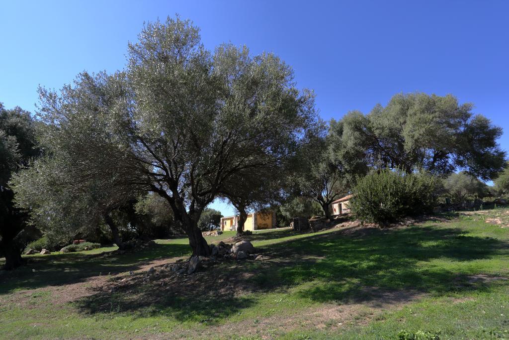 Liscia Country Relais Guest House Sant'Antonio di Gallura Exterior photo