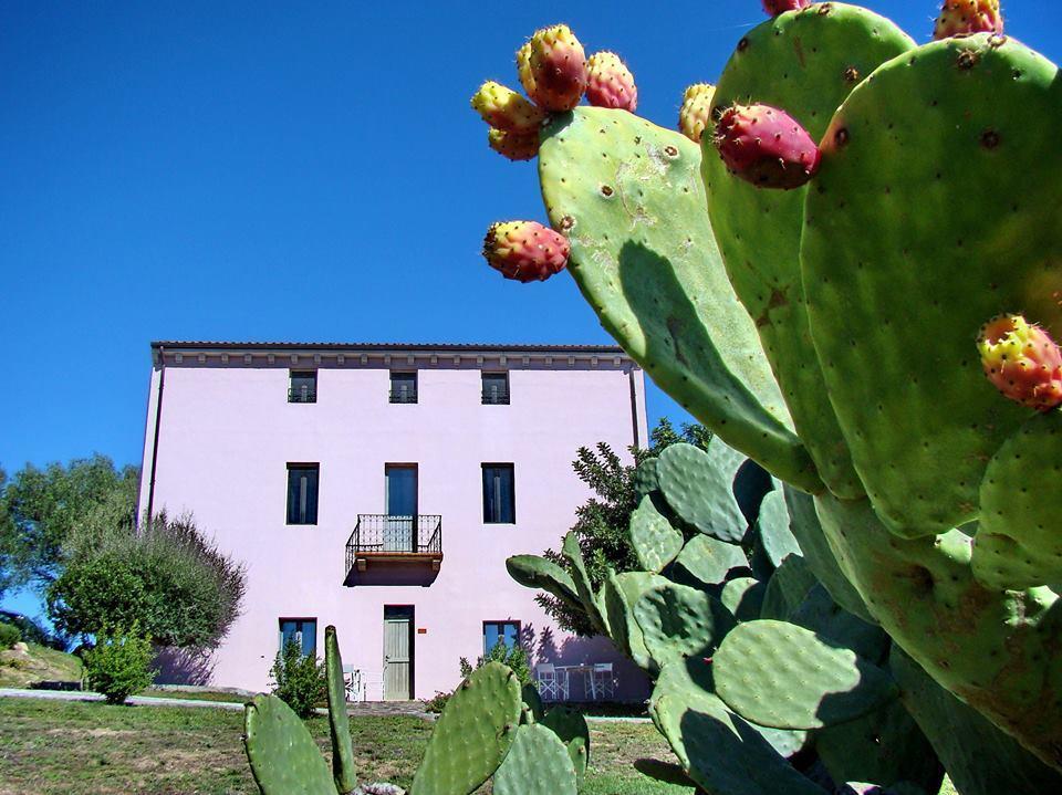 Liscia Country Relais Guest House Sant'Antonio di Gallura Exterior photo