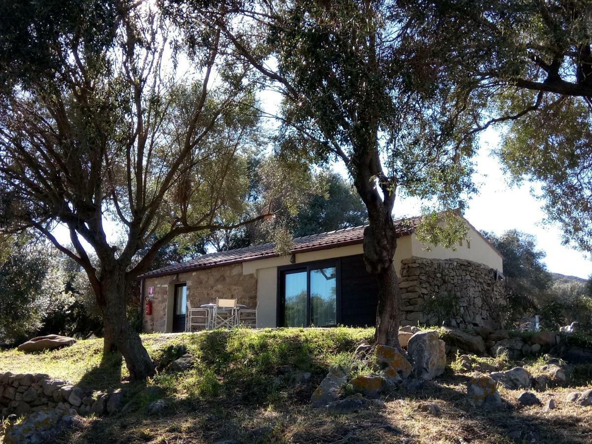 Liscia Country Relais Guest House Sant'Antonio di Gallura Exterior photo